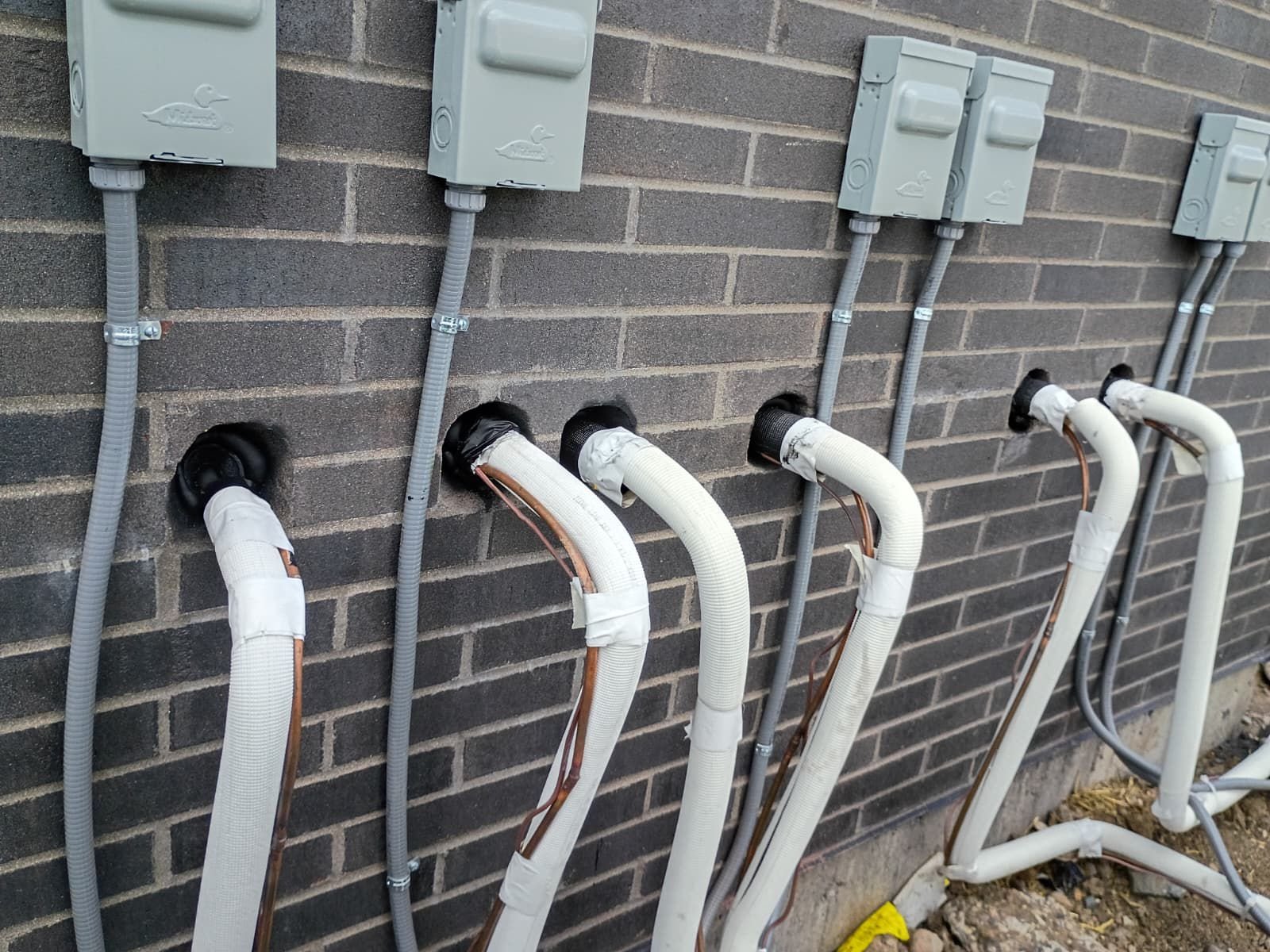 WhatsApp Image 2026-03-20 at 8.48.48 AM (1)